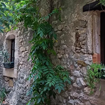 De Charme 30m2 Homestay *